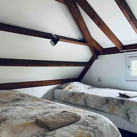 Leuke In Noord-holland *